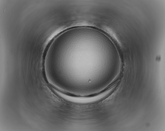 X0000091071173200708061256