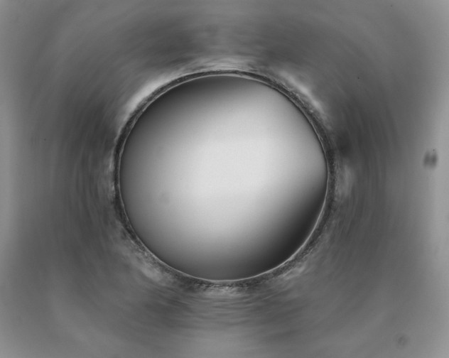 X0000091071174200708061256
