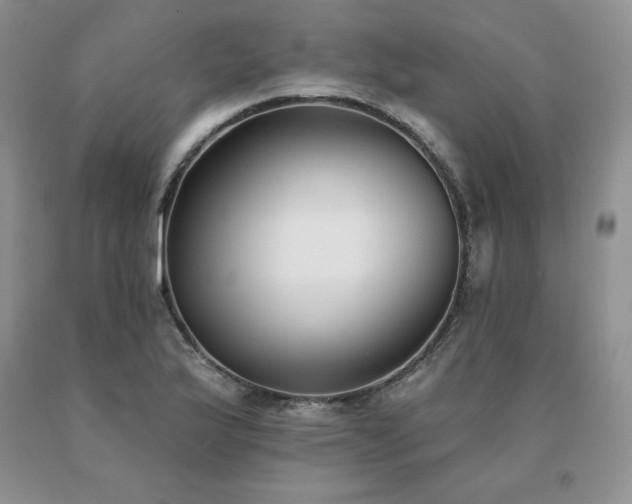 X0000091071175200708061256