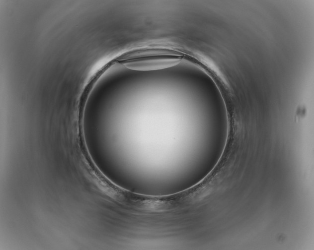 X0000091071176200708061256