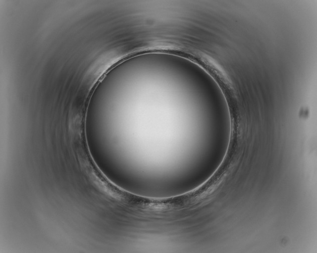 X0000091071177200708061256
