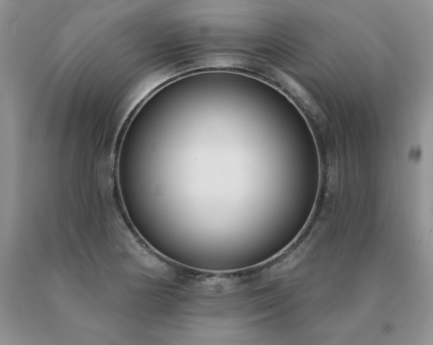 X0000091071178200708061256