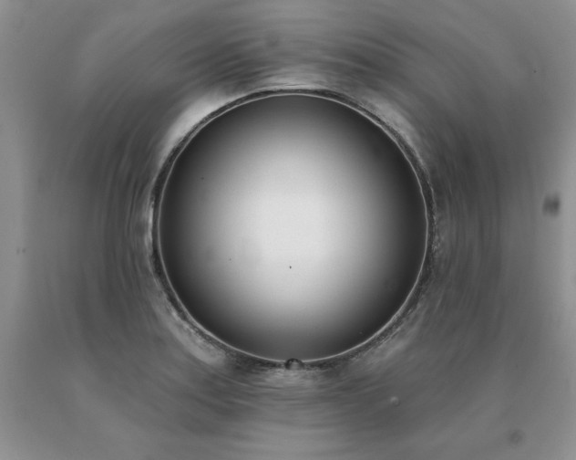 X0000091071179200708061256