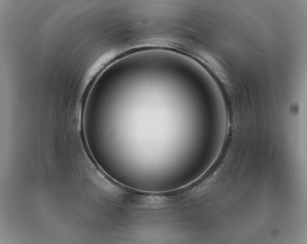 X0000091071180200708061256