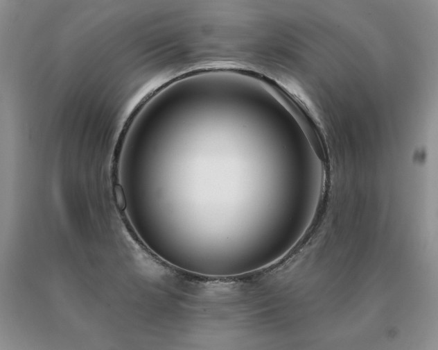 X0000091071181200708061256