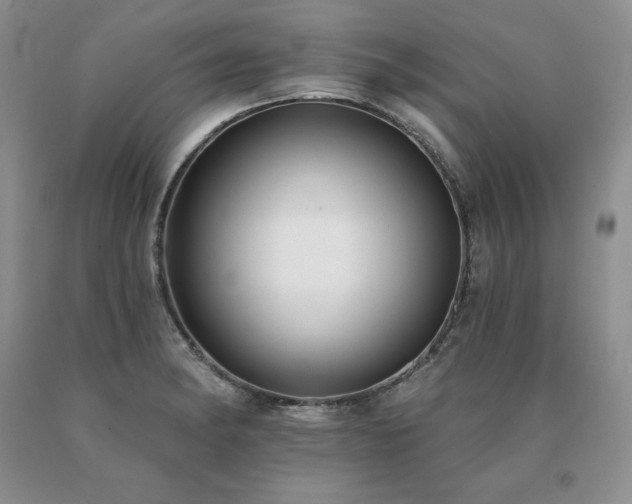 X0000091071182200708061256