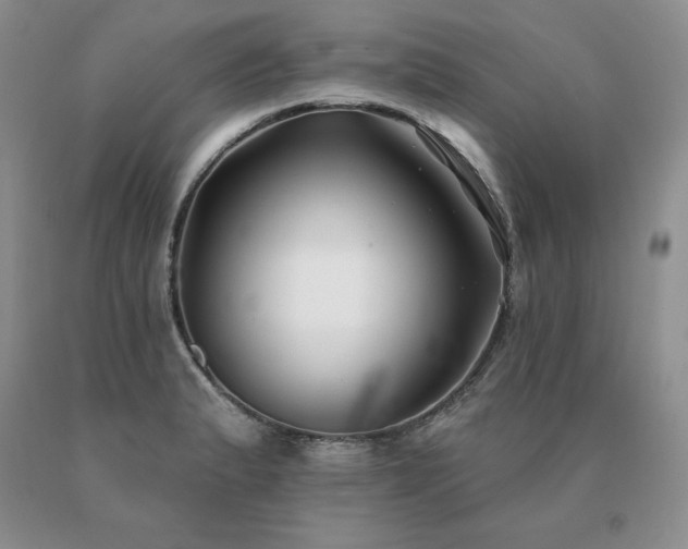 X0000091071183200708061256