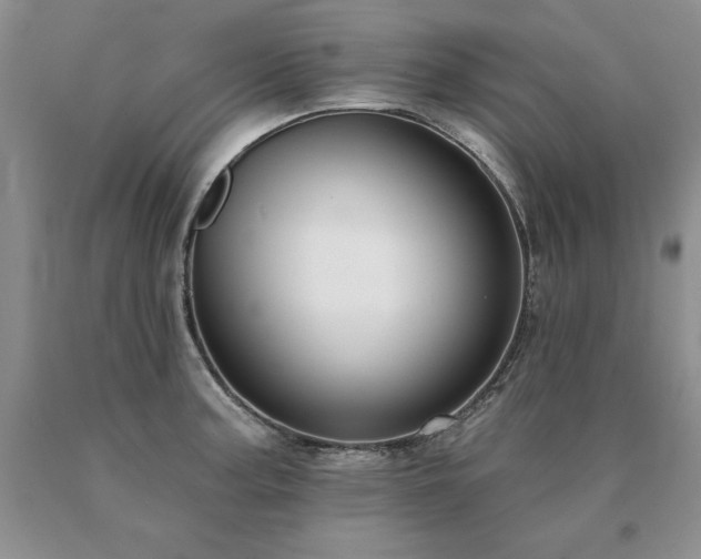 X0000091071187200708061256