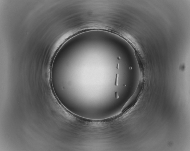 X0000091071188200708061256