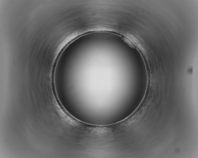 X0000091071189200708061256