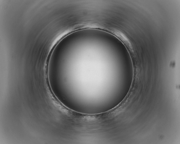 X0000091071190200708061256