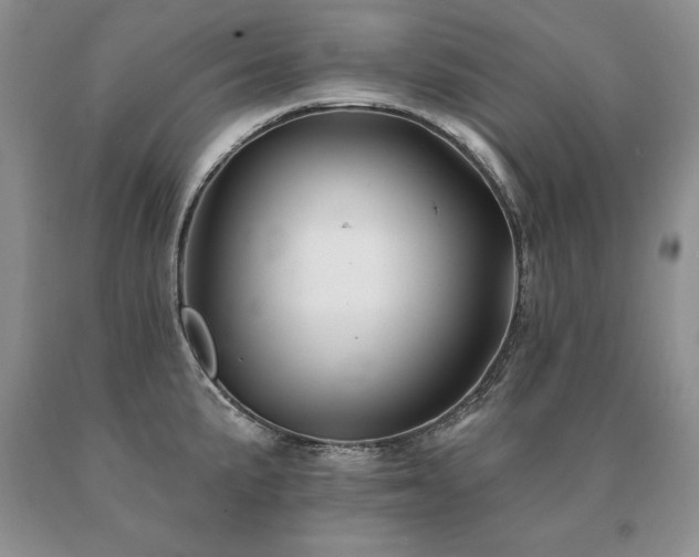 X0000091071191200708061256