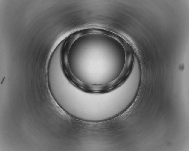 X0000091071192200708061256