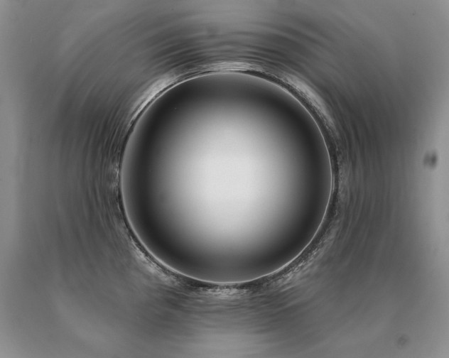 X0000091071193200708061256