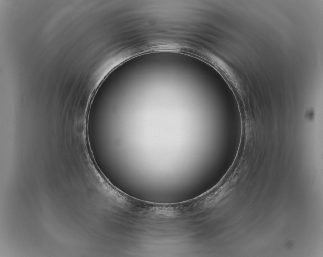 X0000091071194200708061256
