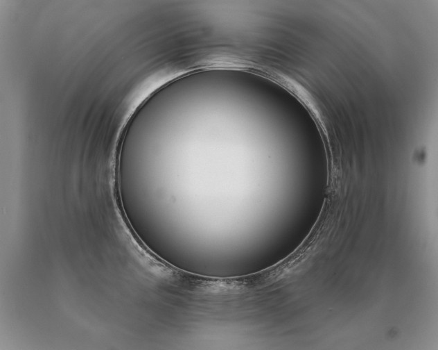 X0000091071195200708061256