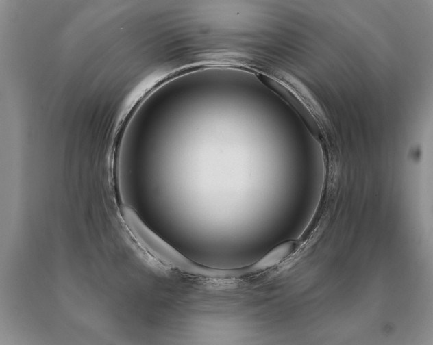 X0000091071196200708061256