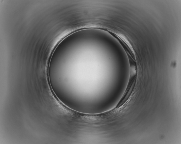 X0000091071197200708061256