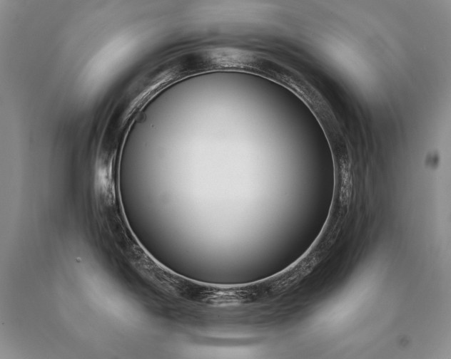 X0000091071198200708061256