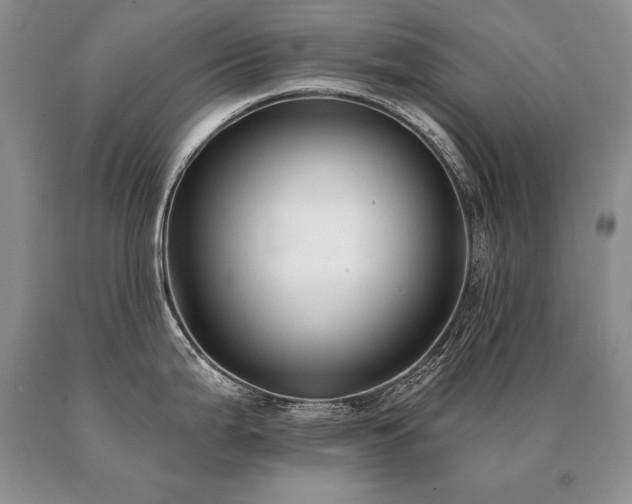 X0000091071199200708061256