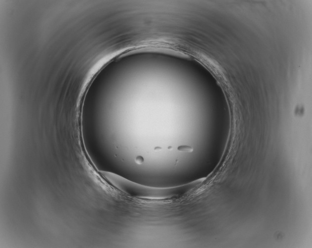 X0000091071200200708061256