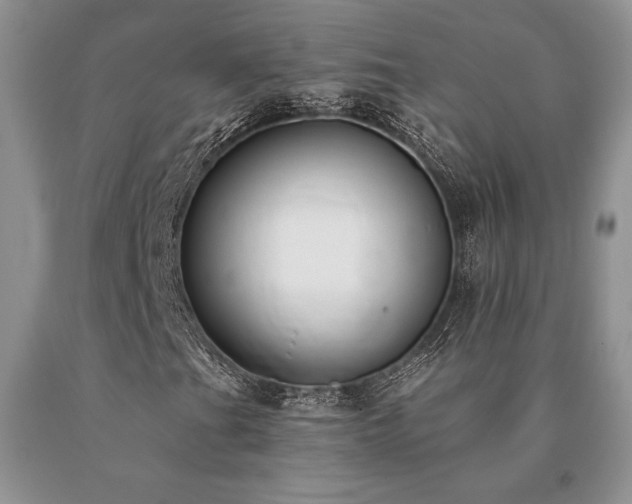 X0000091071201200708061255
