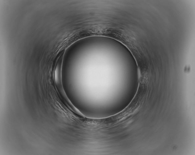 X0000091071202200708061255