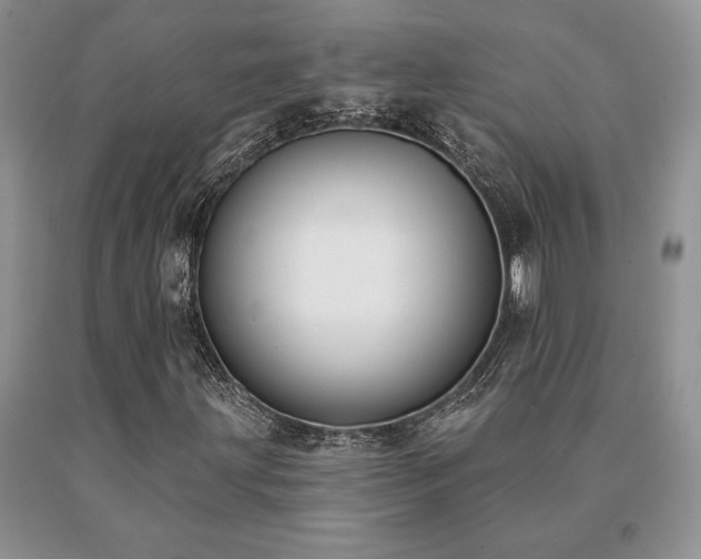 X0000091071203200708061255