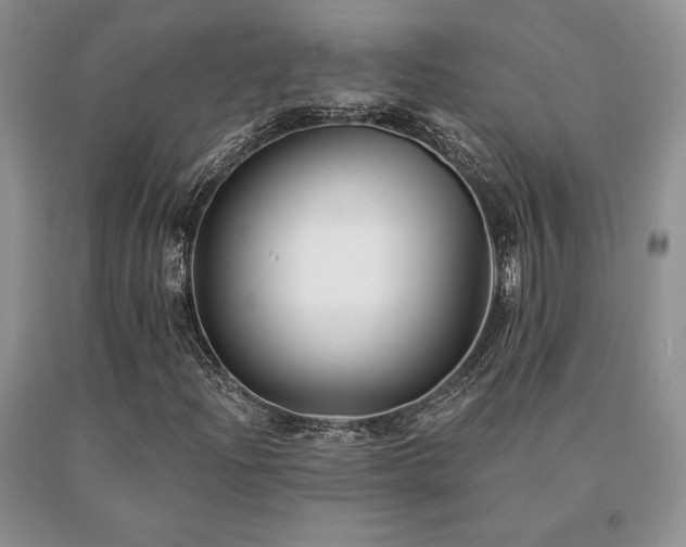X0000091071204200708061255