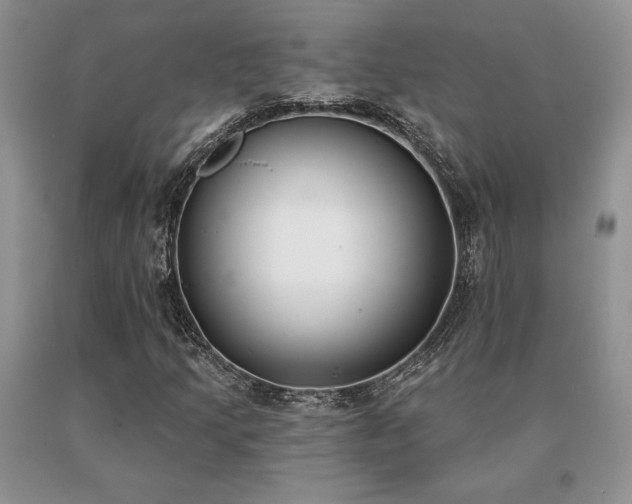 X0000091071205200708061255