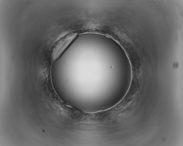 X0000091071206200708061255