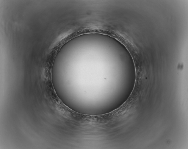 X0000091071207200708061255