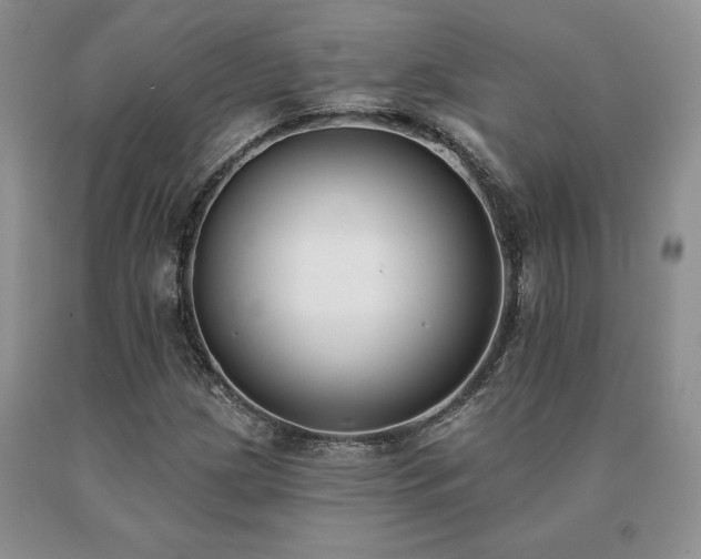 X0000091071209200708061255