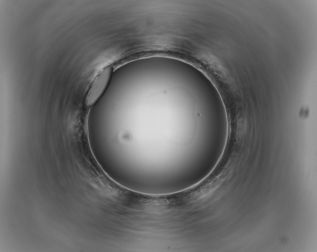 X0000091071210200708061255