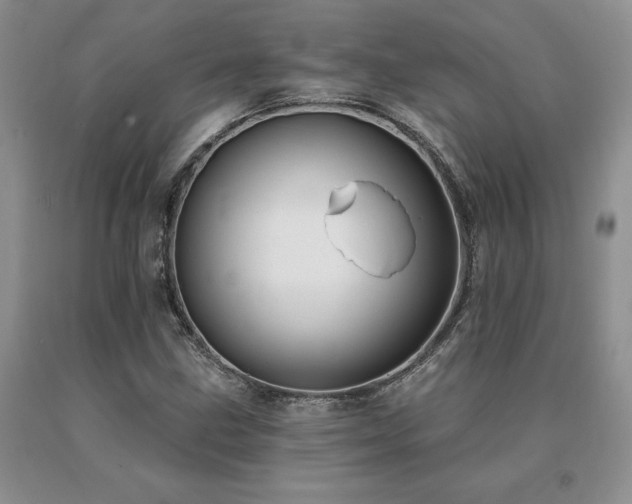 X0000091071211200708061255