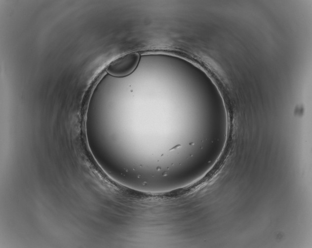 X0000091071212200708061255