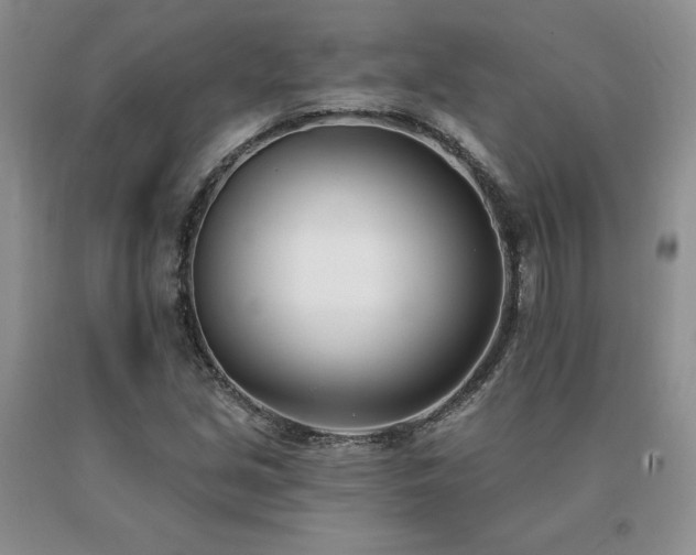 X0000091071213200708061255