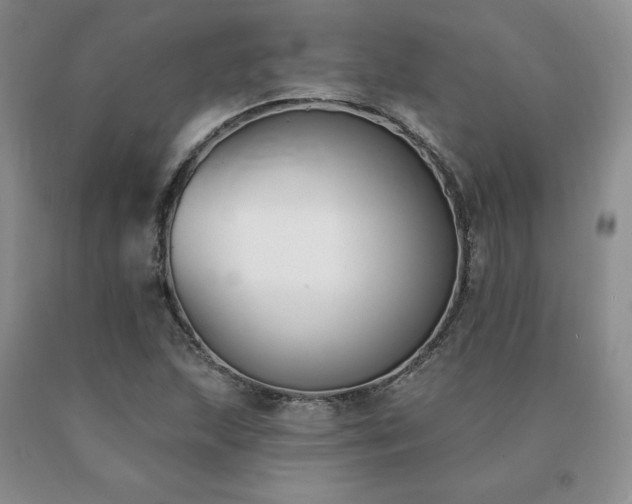 X0000091071215200708061255