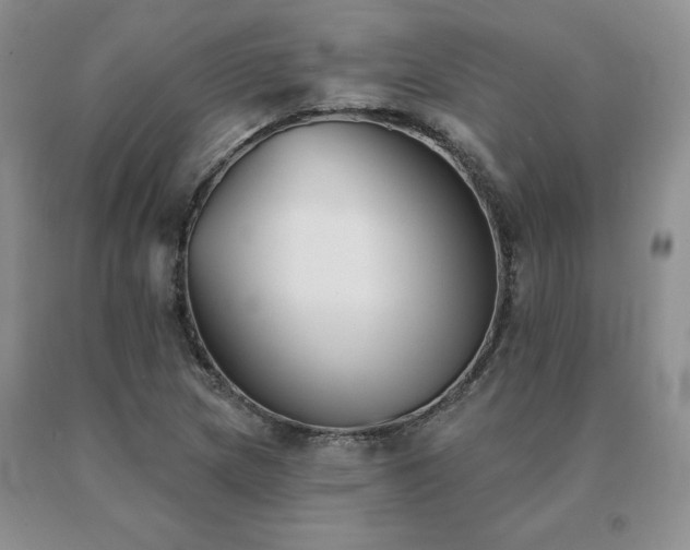 X0000091071217200708061255
