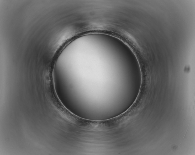X0000091071218200708061255