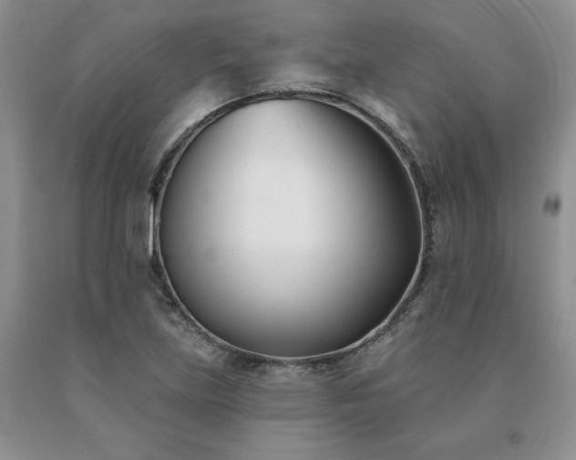 X0000091071219200708061255