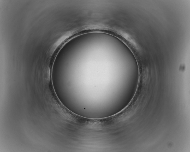 X0000091071221200708061255