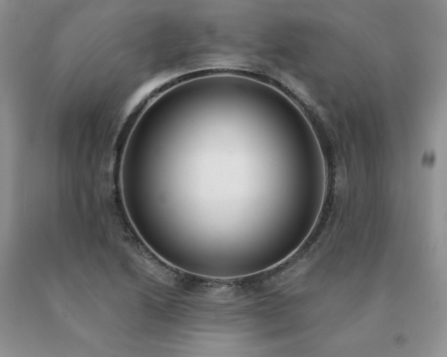 X0000091071222200708061255