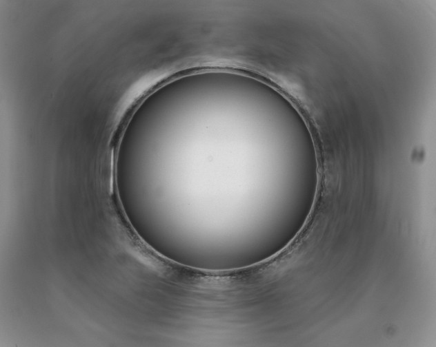 X0000091071223200708061255