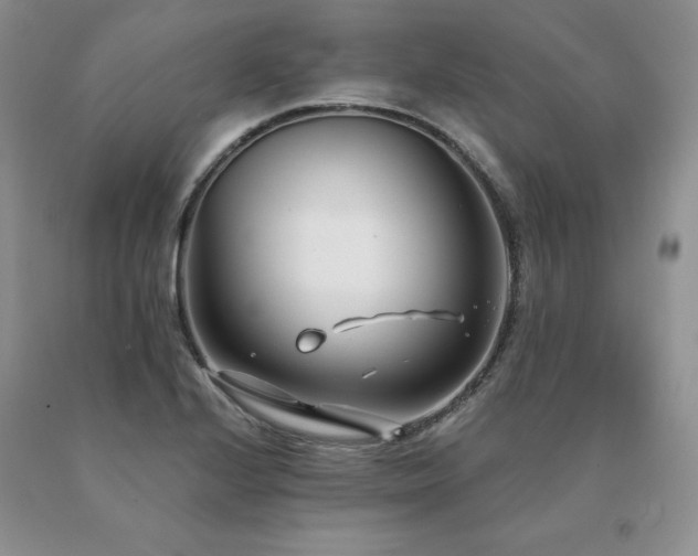 X0000091071224200708061255