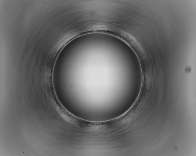 X0000091071225200708061255