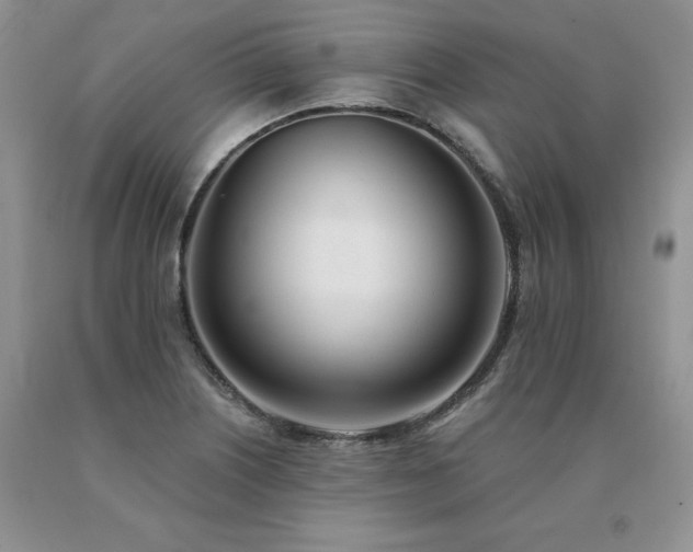 X0000091071226200708061255