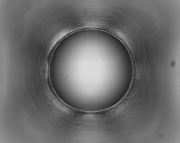X0000091071227200708061255