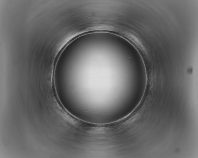 X0000091071228200708061255