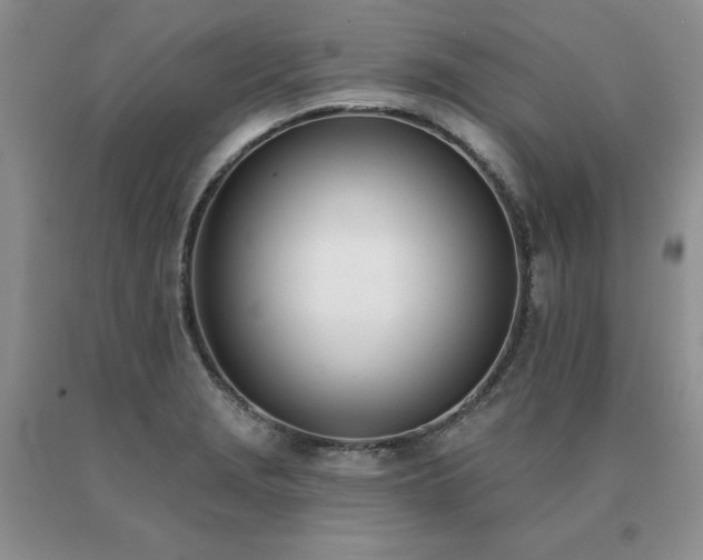 X0000091071229200708061255